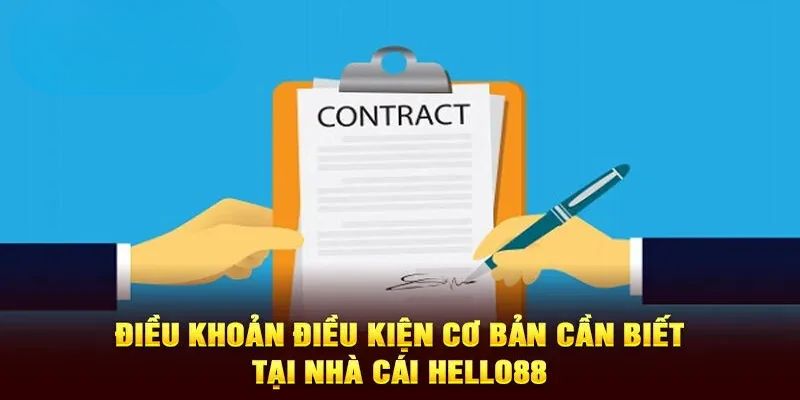 Nội dung liên quan đến điều khoản điều kiện mới nhất hiện nay 